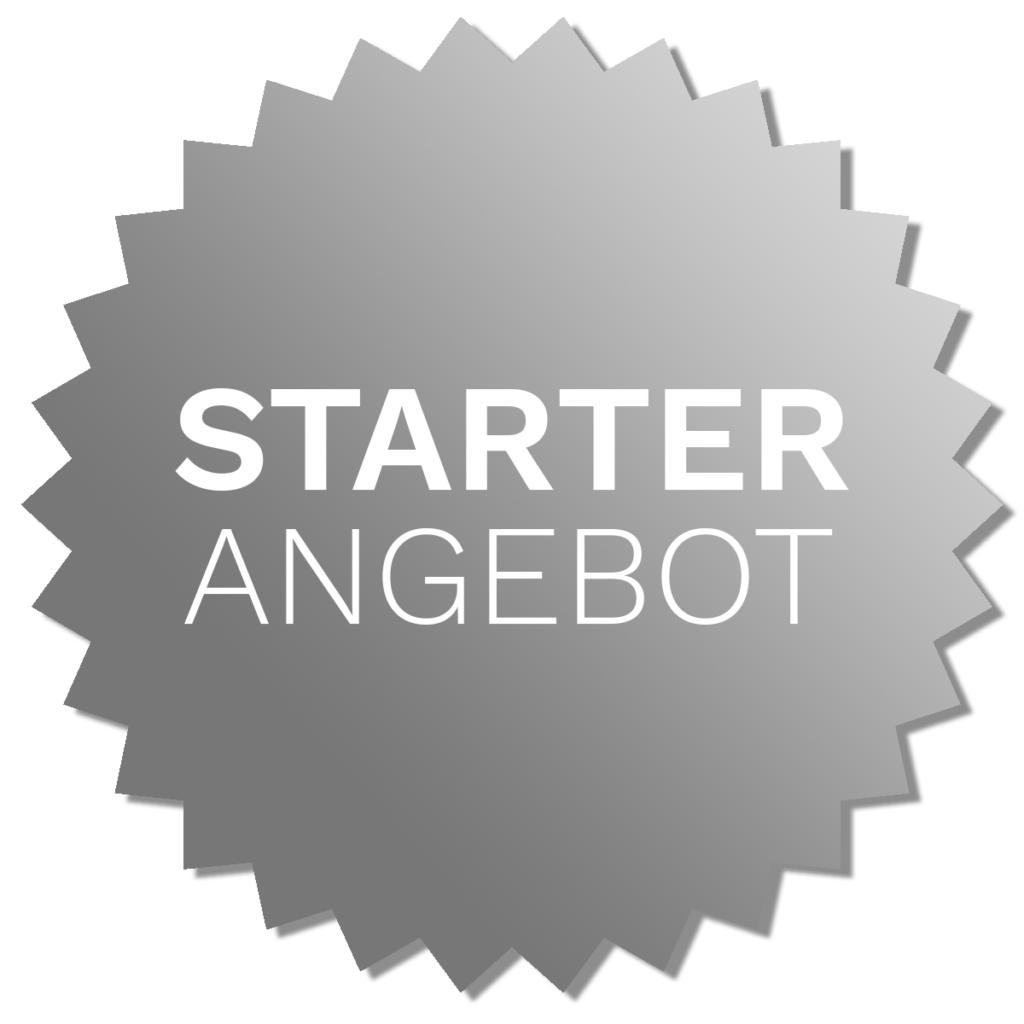 Starter Angebot SEO Check-Up Button