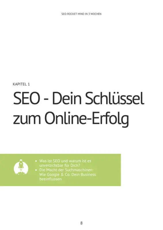 Seite aus dem SEO-eBook: Vorwort von Dani Kaiser